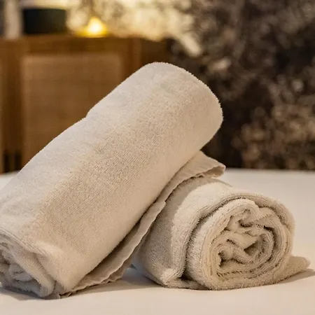 Au Coeur De شقة ديجون