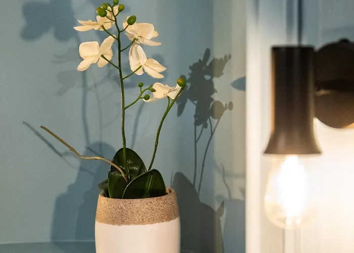 Au Coeur De شقة ديجون